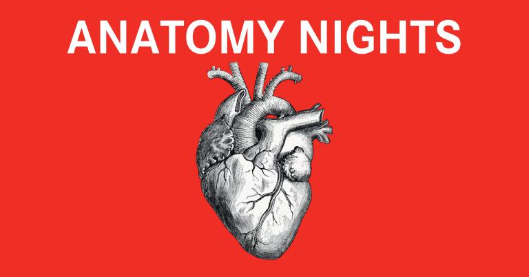 anatomy nights
